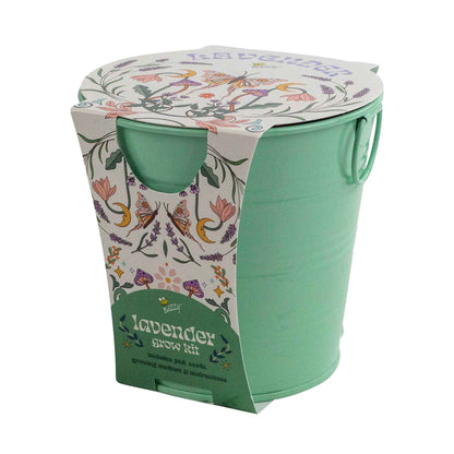 Painted Flower Grow Pail | Lavender Grow Kit | Indoor Gift