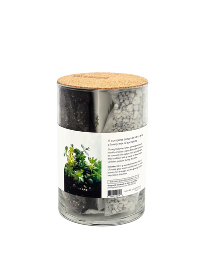 Succulent Terrarium
