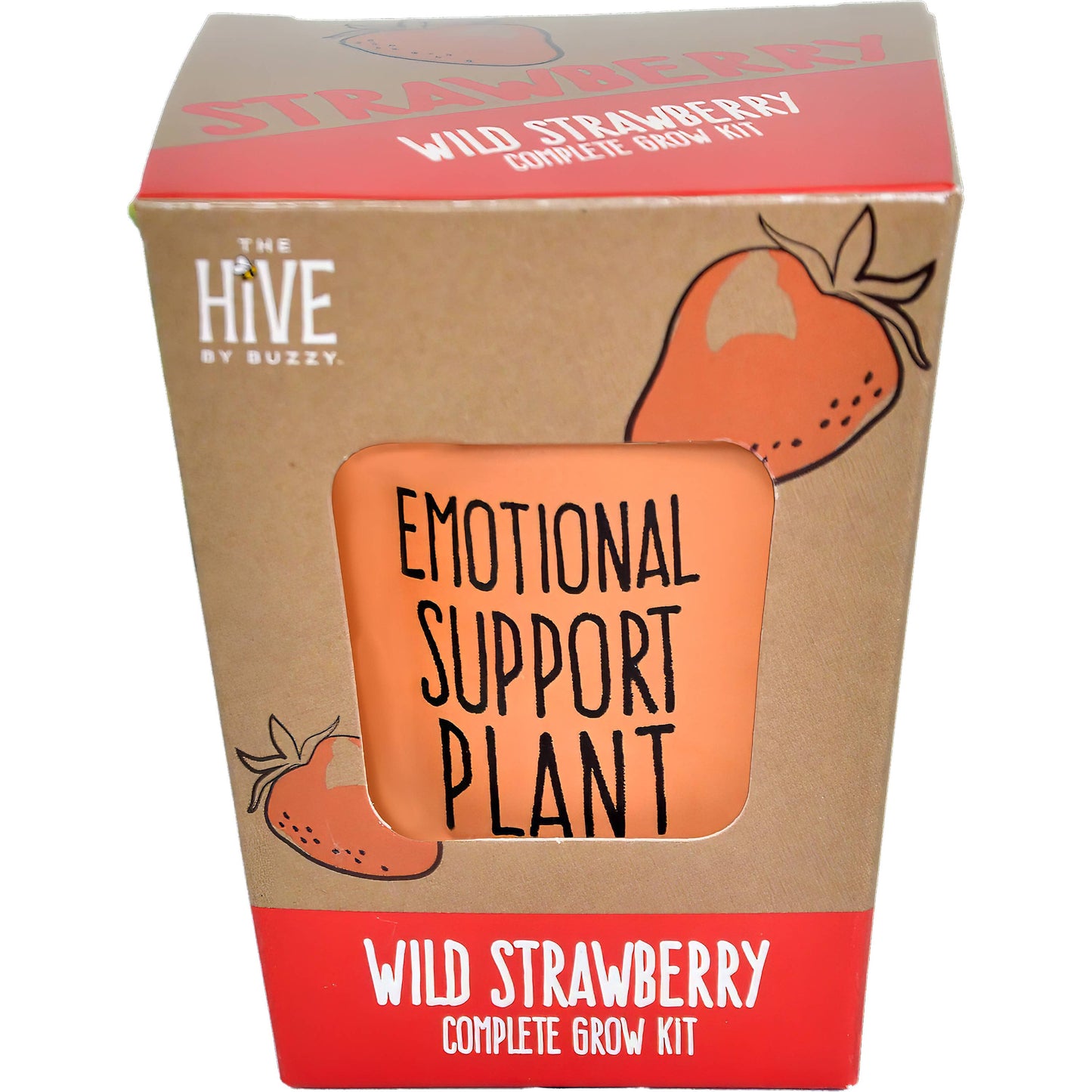 Inspirational Grow Kit - Wild Strawberry