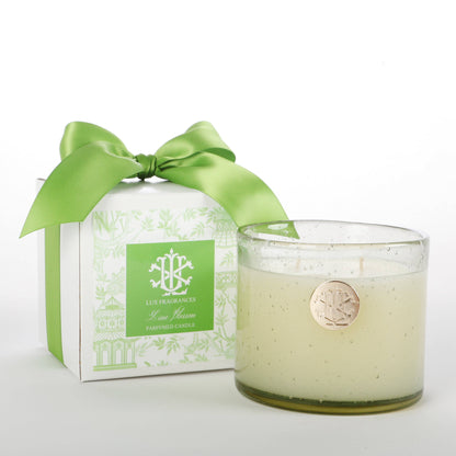 Everyday Pre-Pack 13 oz Candle