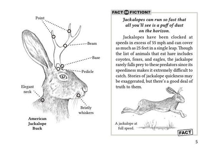 Field Guide to the North American Jackalope Expanded Edition