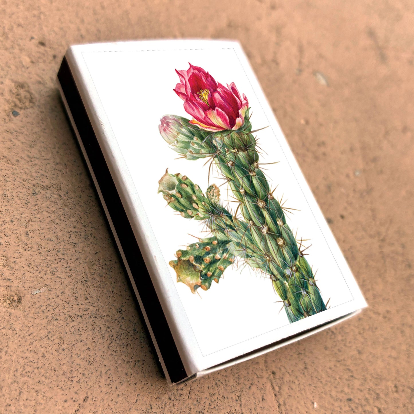 Matches • Walkingstick Cholla Cactus