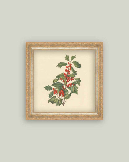 December Berry