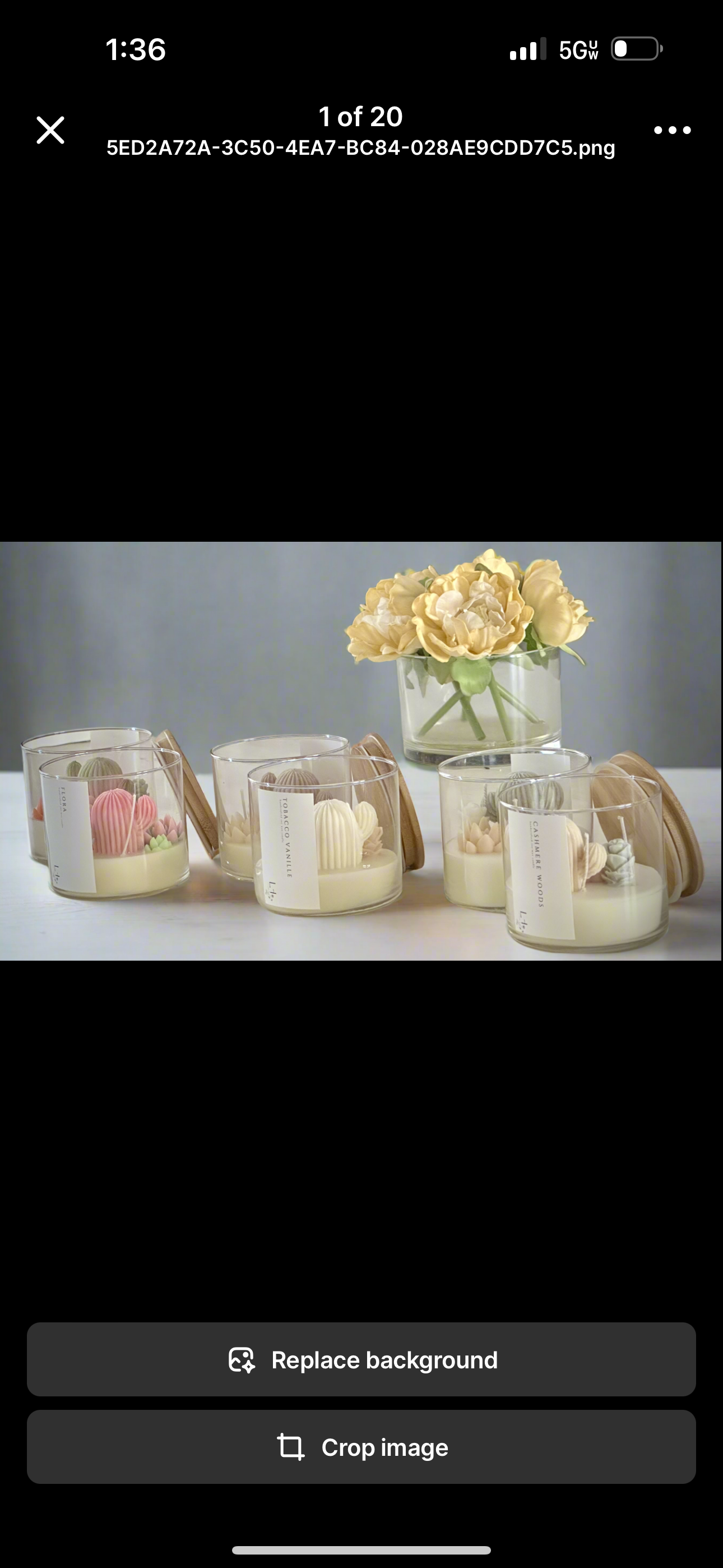 The Succulent Scented 3 Wick Cactus Candle Jar