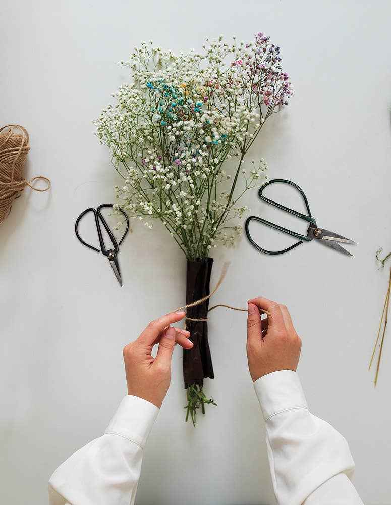 Flower Stem Shears - 3 Asst Colors