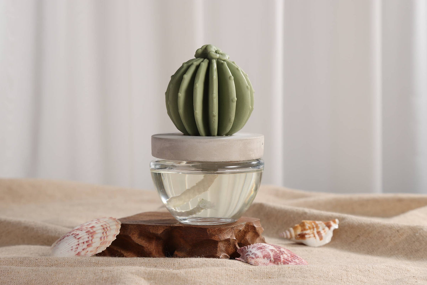 Barrel Cactus ceramic diffuser gift set