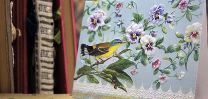 Pansies & Warbler Embossed Die-cut Boxed Portfolio Note Card
