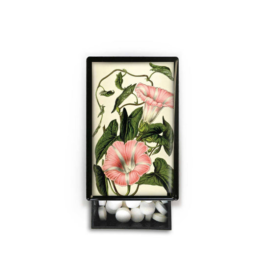 Pink Flower Garden Outdoor Plant Beautiful Slide Box