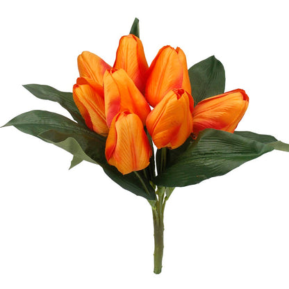 Mixed Color Large Tulip Bushes