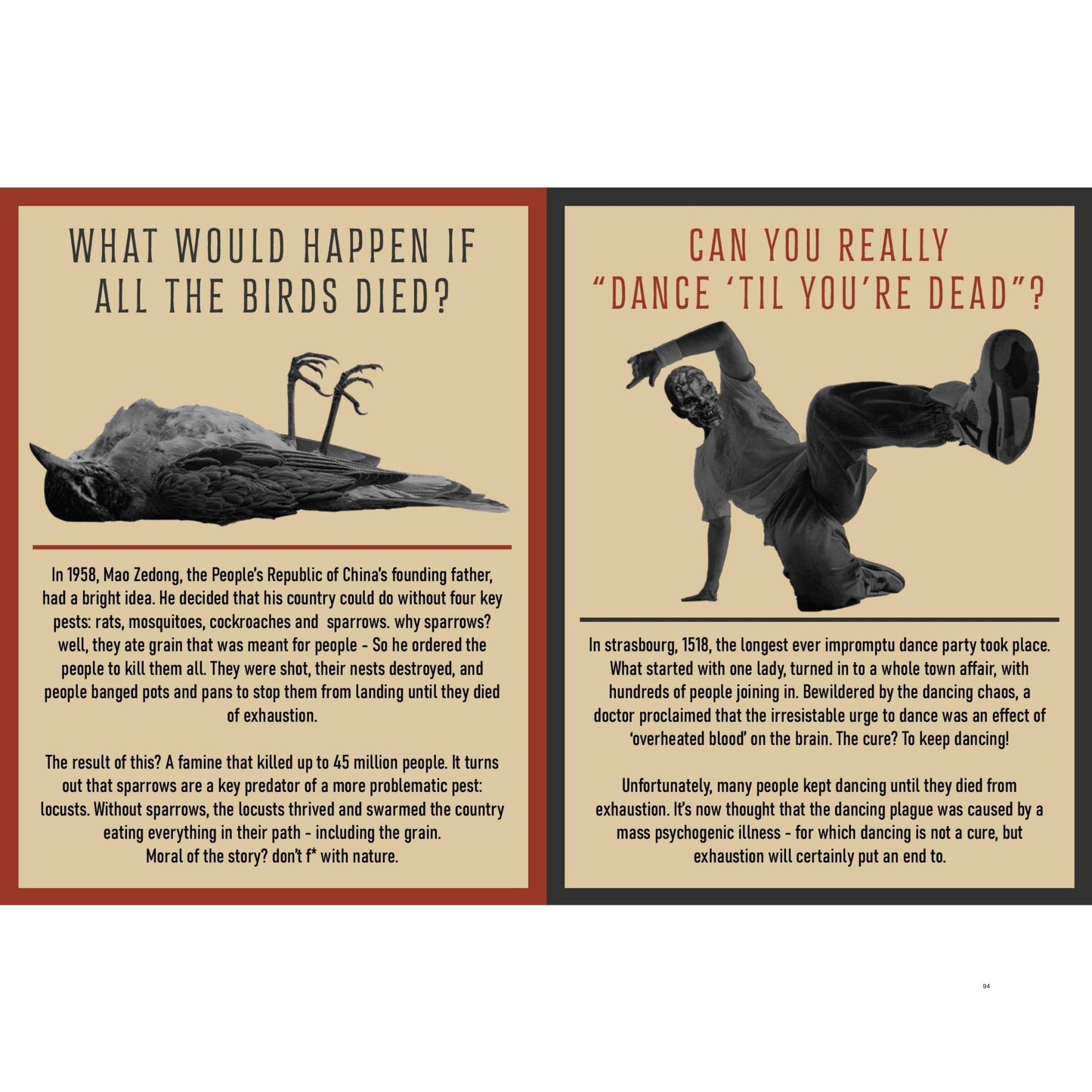 Curious Man Thoughts Gift Books - Funny Men's Gifts