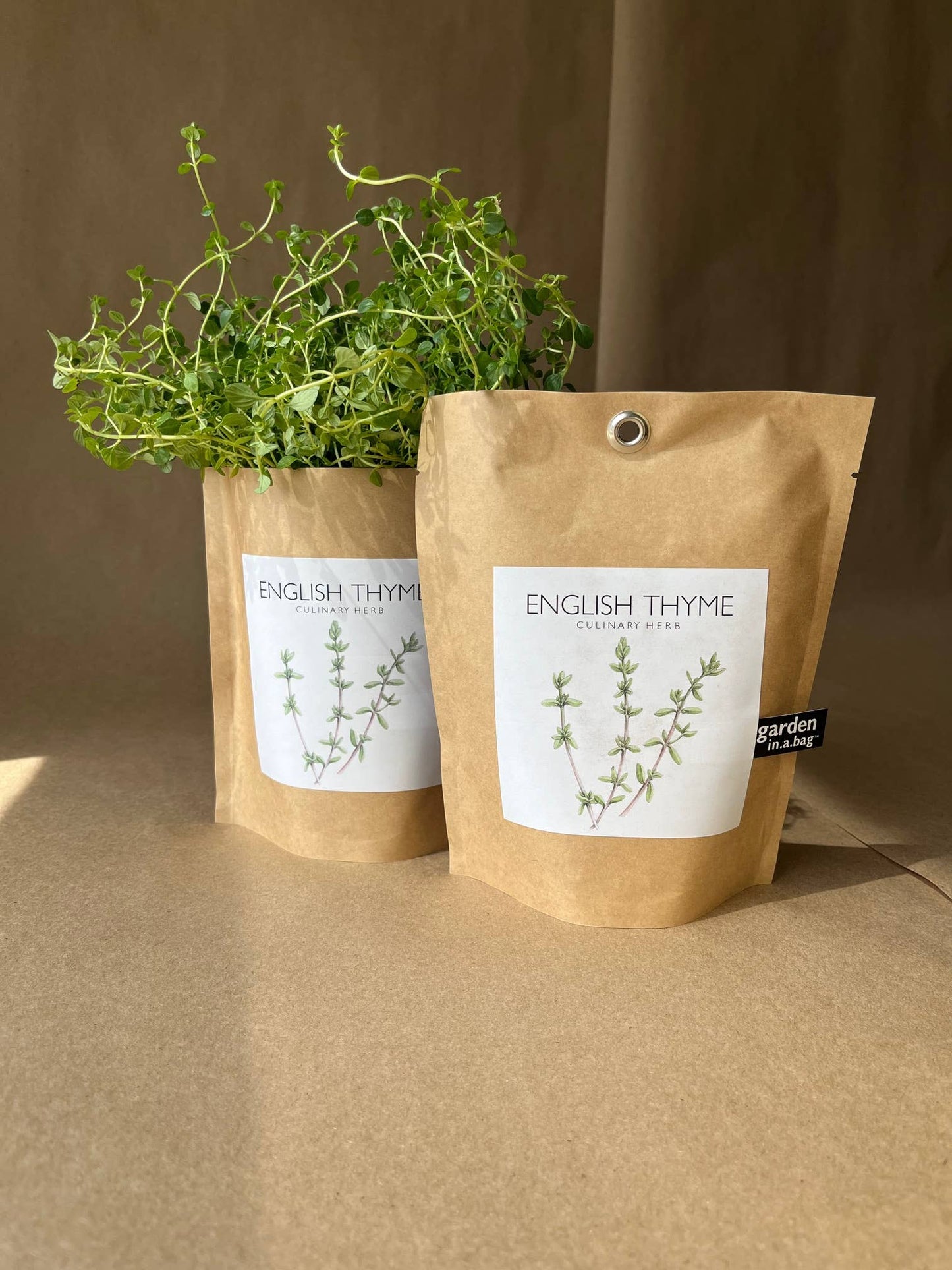 Garden in a Bag | English Thyme