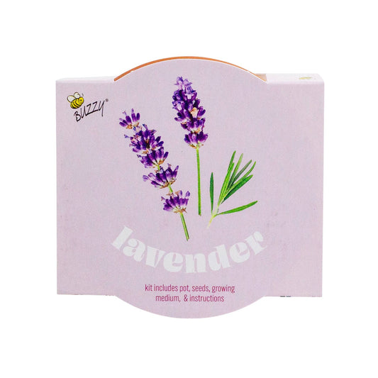 lavender seed science grow kit Buzzy Seeds Classic 7cm Terra Cotta Grow Kit