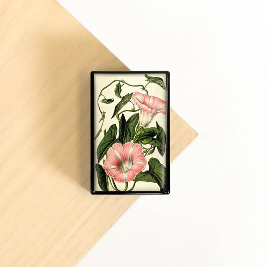 Pink Flower Garden Outdoor Plant Beautiful Slide Box