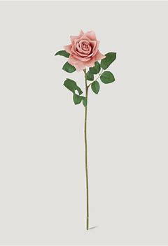 25 inch Coral Real Touch Duchess Rose Stem