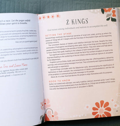 Taking Your Time through the Bible