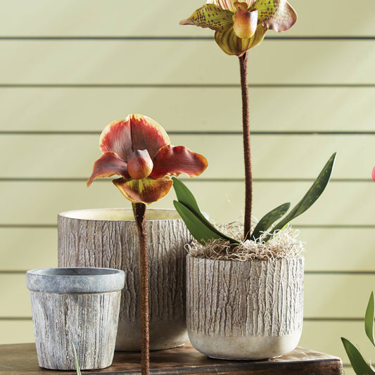 Faux Bois Pots, Set Of 2