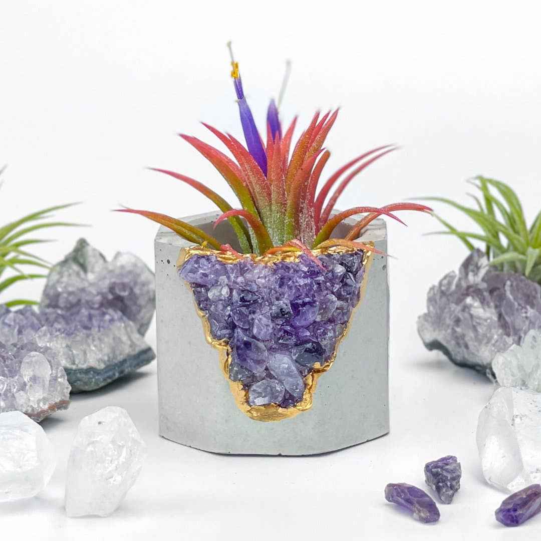 Amethyst Geode Planter, Concrete Planter, Crystal Pot