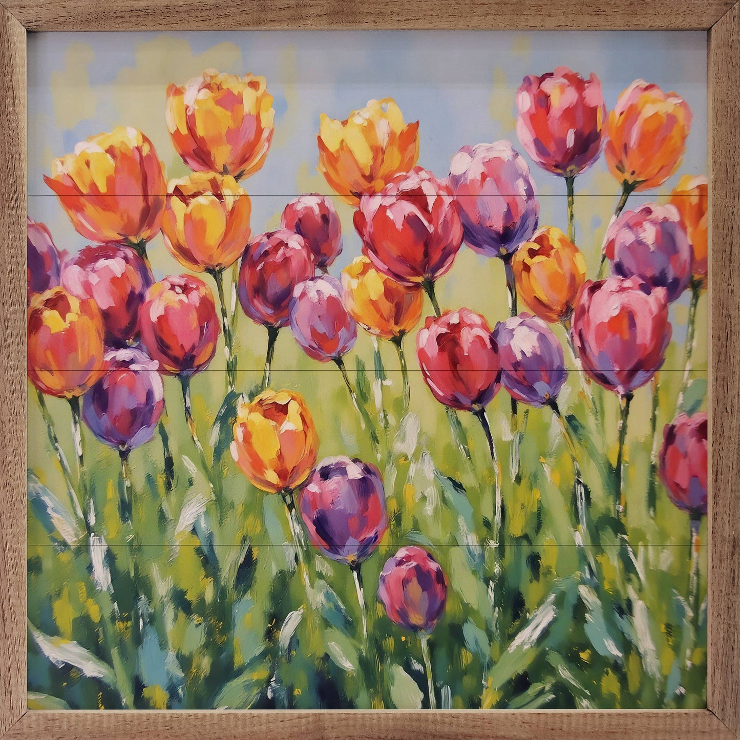 Tulip Field