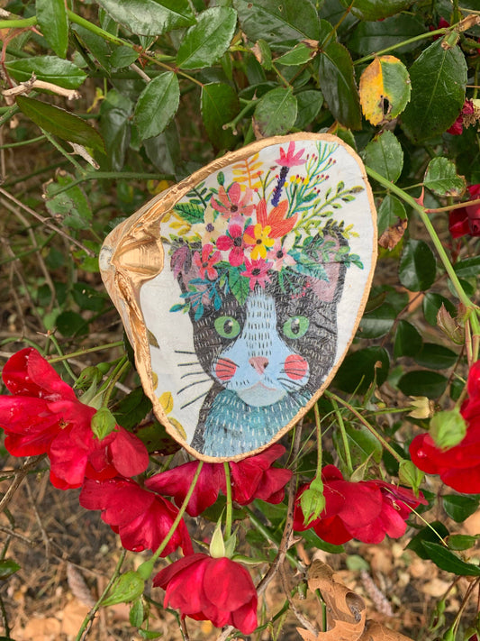 Serenity Shells - Adventure Everyday Greeting Card