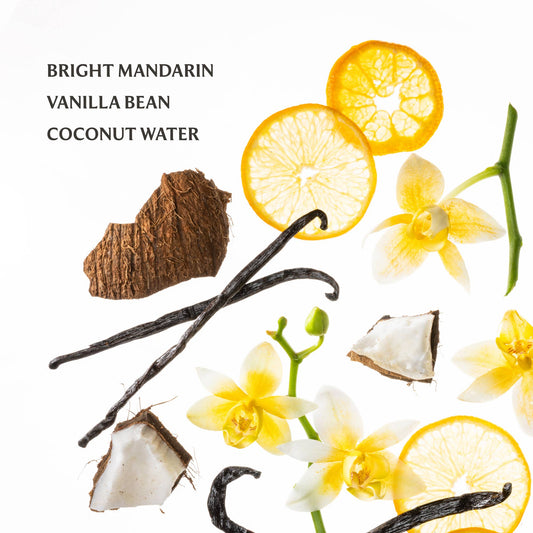 Touchland - Desinfectante de manos hidratante Vanilla Blossom Power Mist