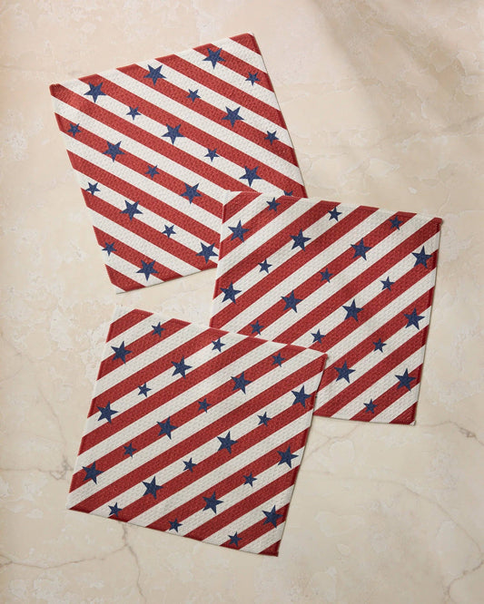 Patriotic Stripe Dishcloth Set