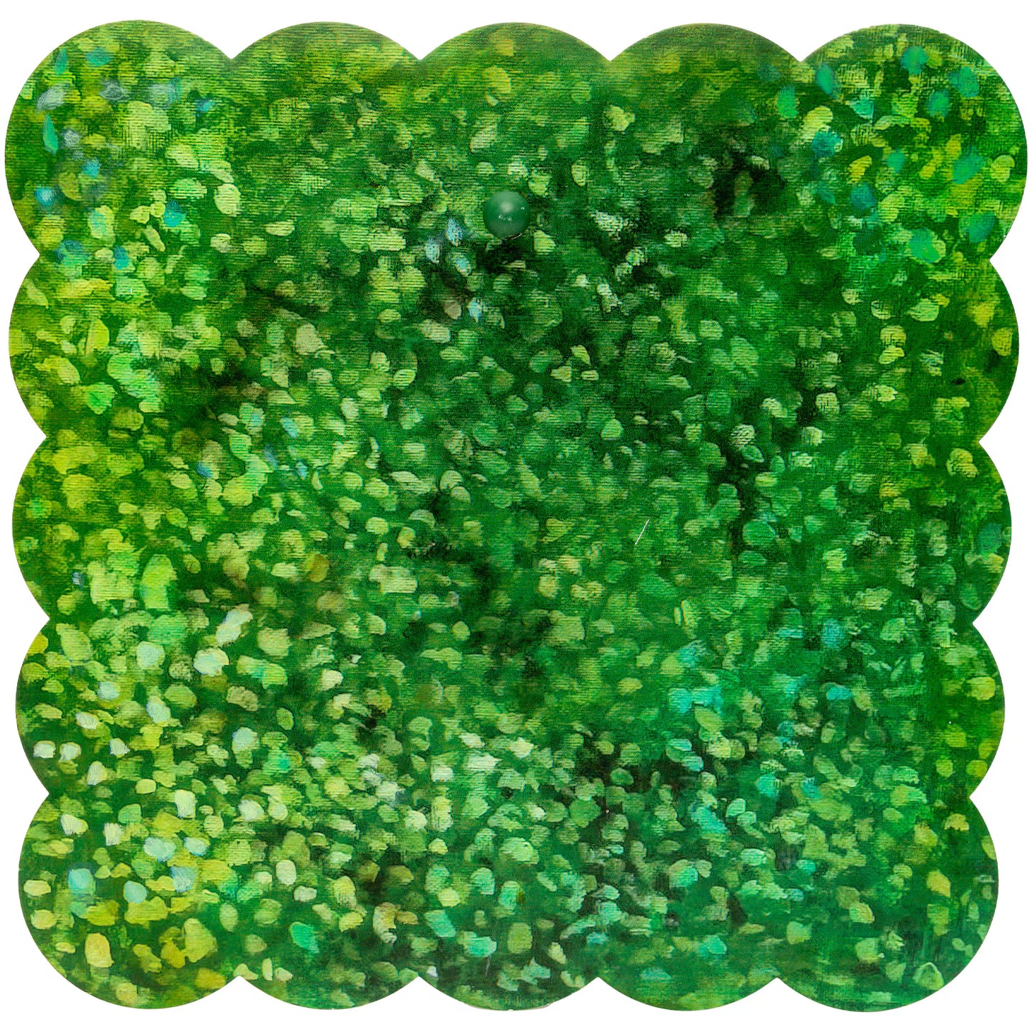 Boxwood Scallop Display Board (Copy)