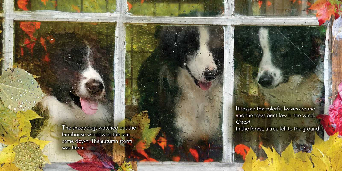 Christmas Barn by John Churchman