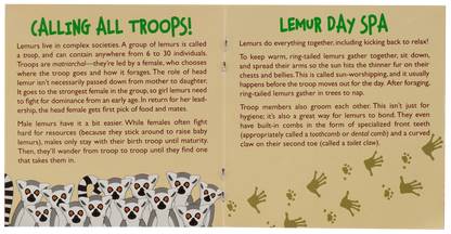 Hug a Lemur Kit