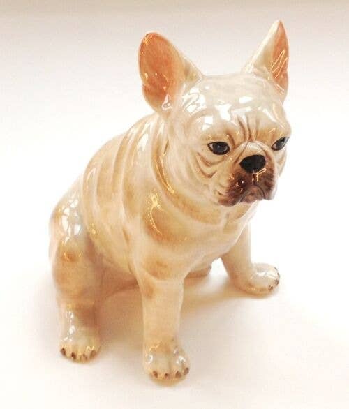 Bank, French Bulldog