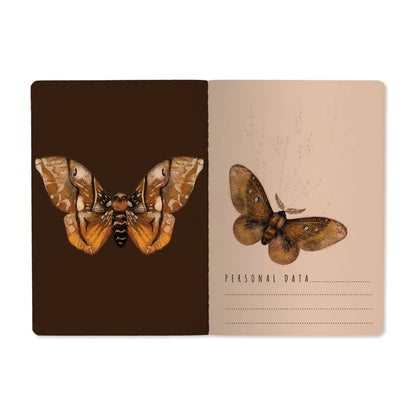 A5 Notebook - Butterflies on Blush 