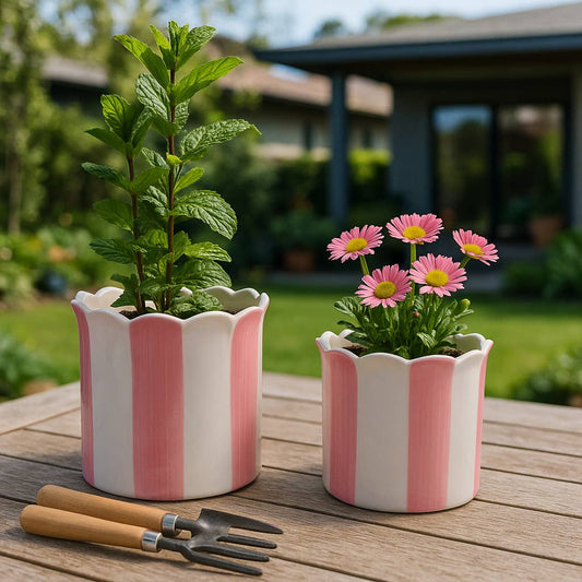 Planters Set of 2 - Pink Ceramic Striped Scallop, 6/8 in.