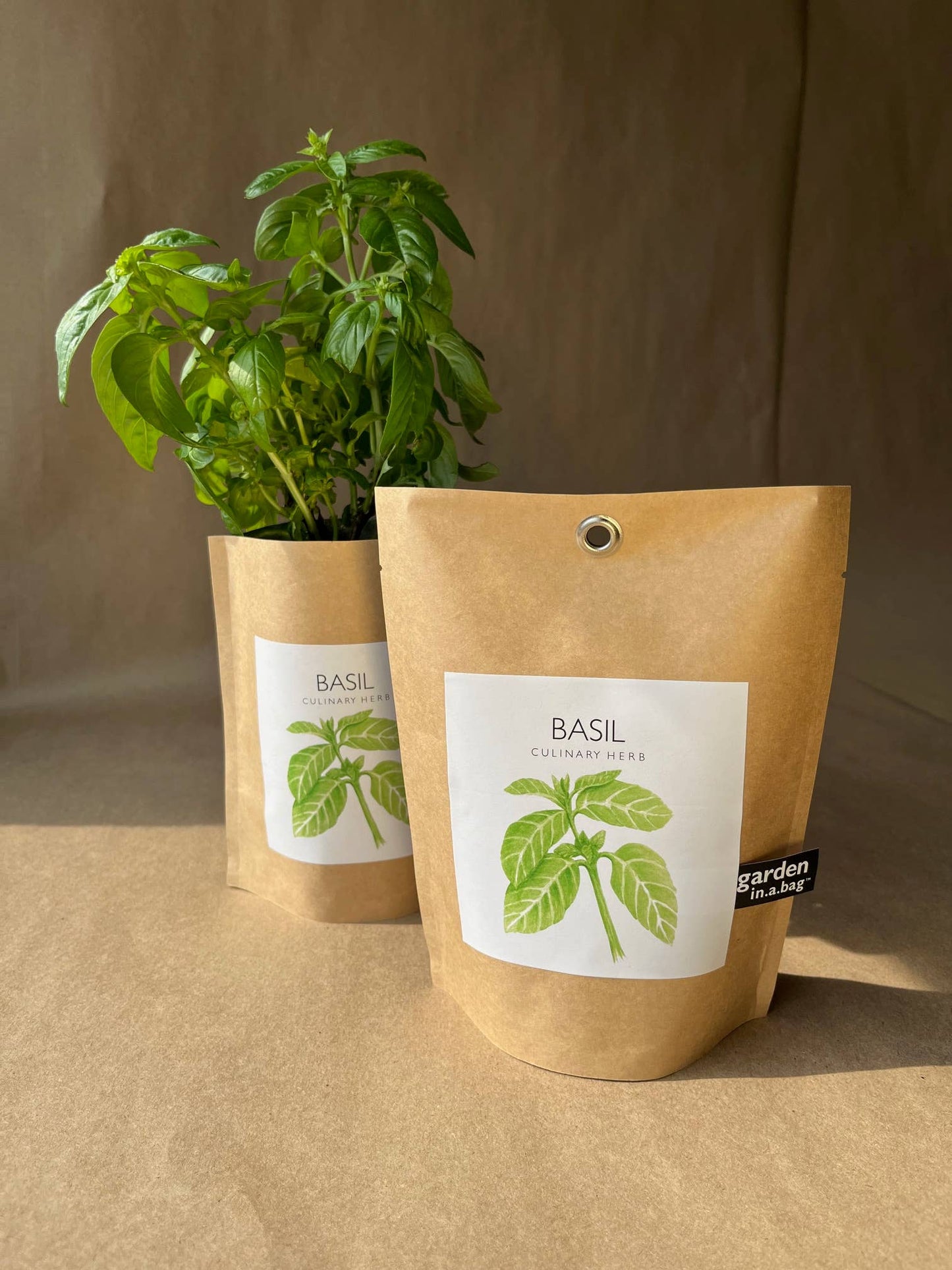 Garden in a Bag | Basil
