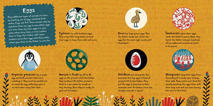 Crack! Toddler Book