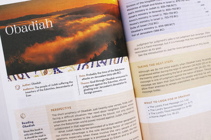 NIV Application Bible Leathersoft Red Letter Comfort Edition