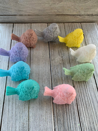 Bird Soap
