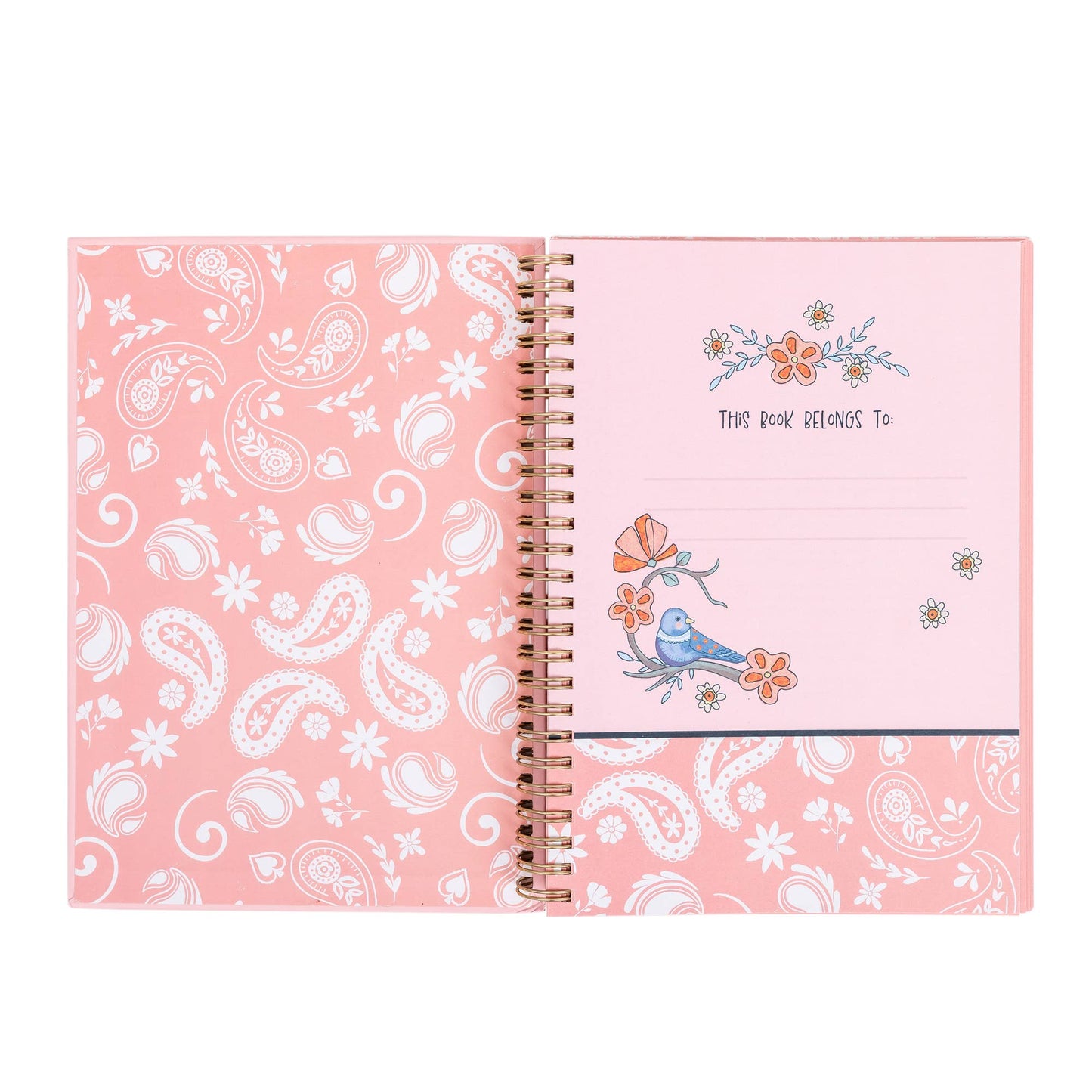 Divinity Boutique - Scripture Wiro Journal: Great Plans, Jeremiah 29:11