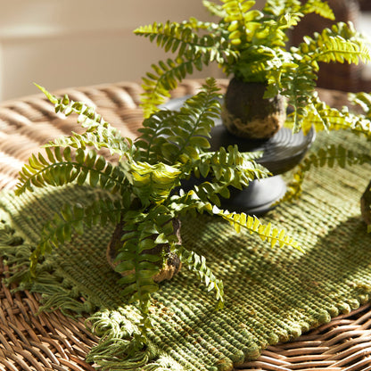 Boston Fern Drop-In