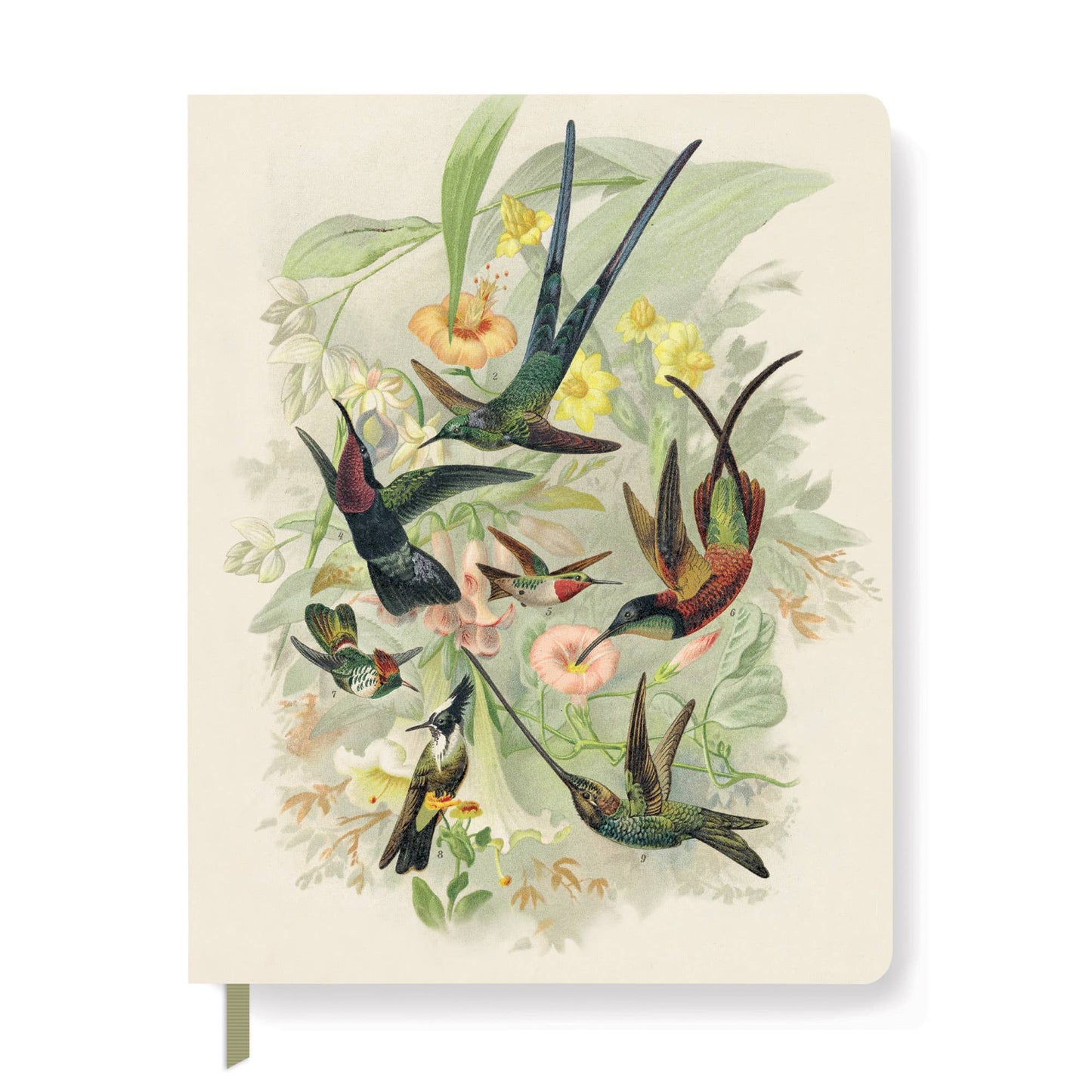 Hummingbirds Large Paperback Journal