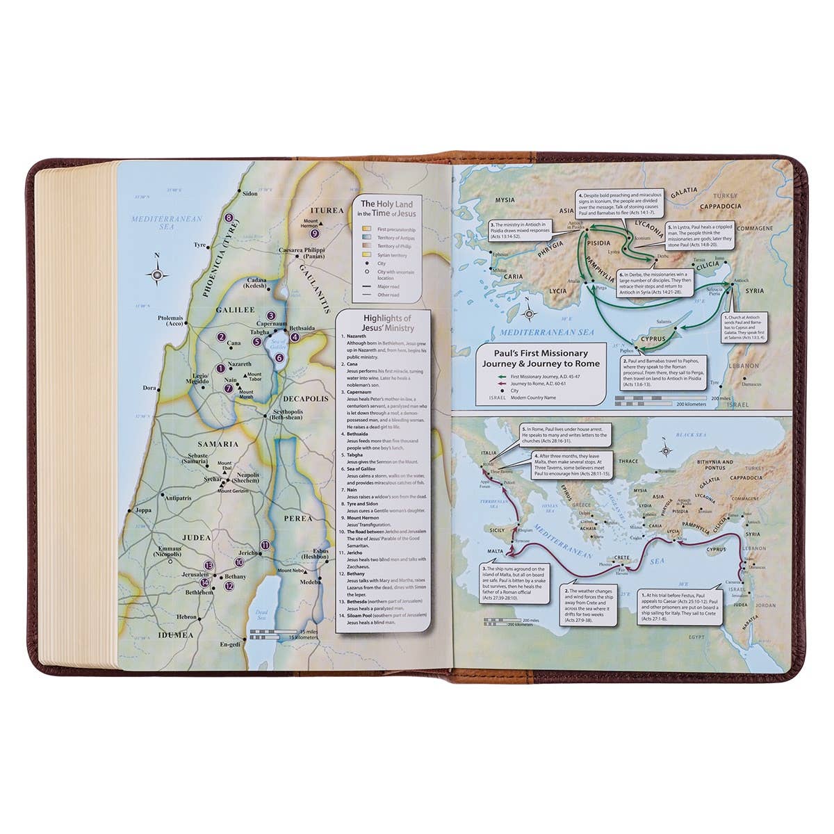 Saddle Tan and Butterscotch Large Print Compact KJV Bible
