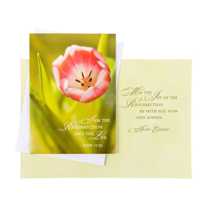 Divinity Boutique - Boxed Cards: Easter, Spring Flowers
