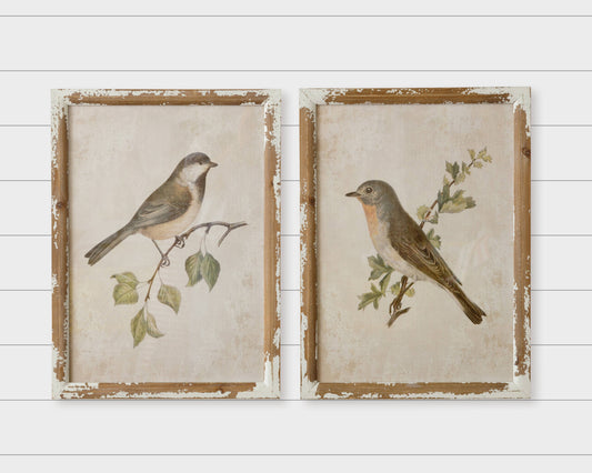 Framed Prints - Birds On Branches-each sold separately