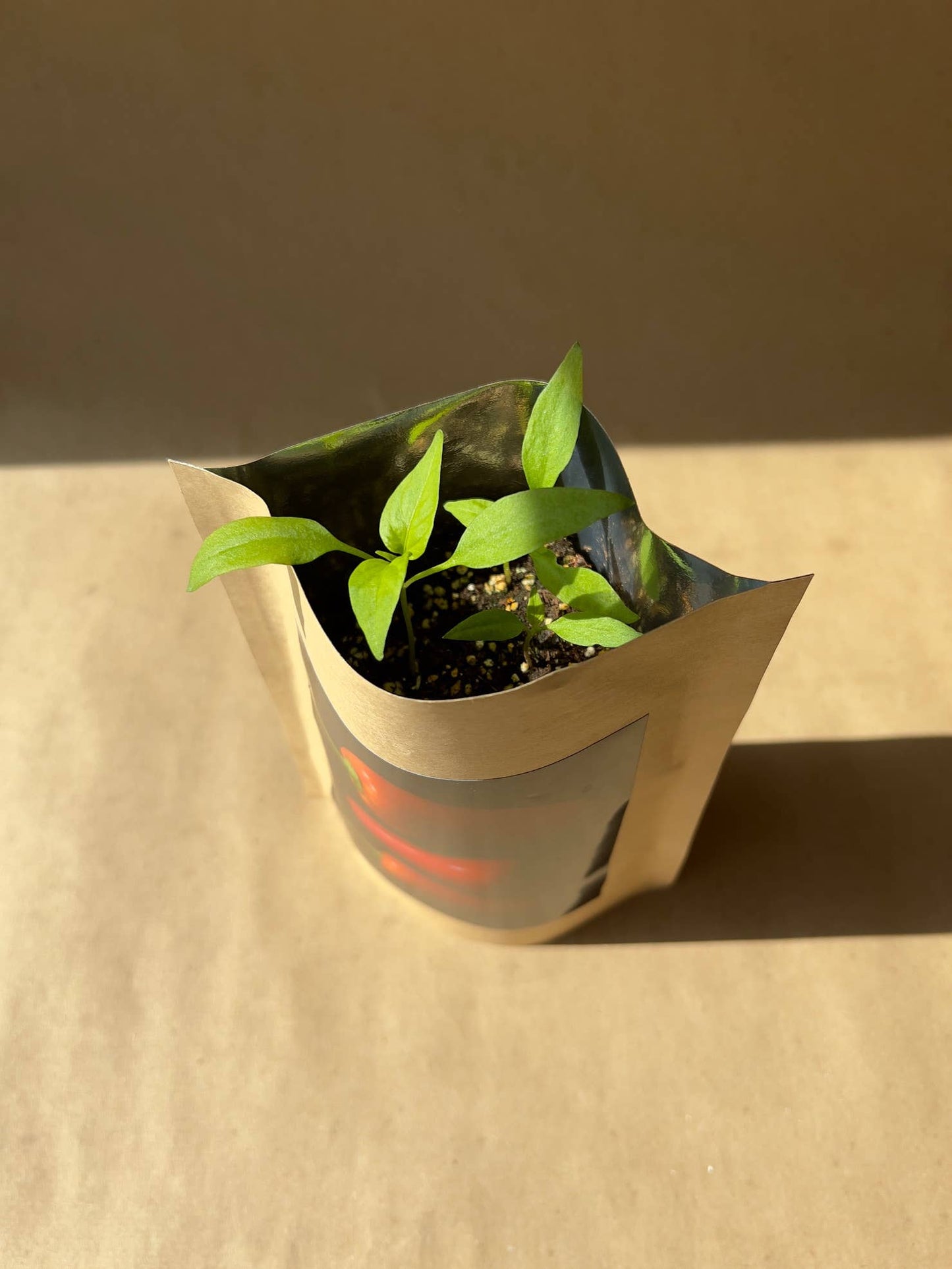 Garden in a Box | Vegetable Garden