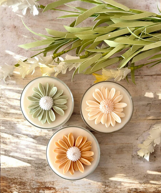  Mini Daisy Candle Jar