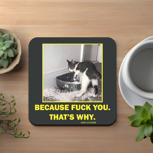 Because F*ck You. That's Why coaster