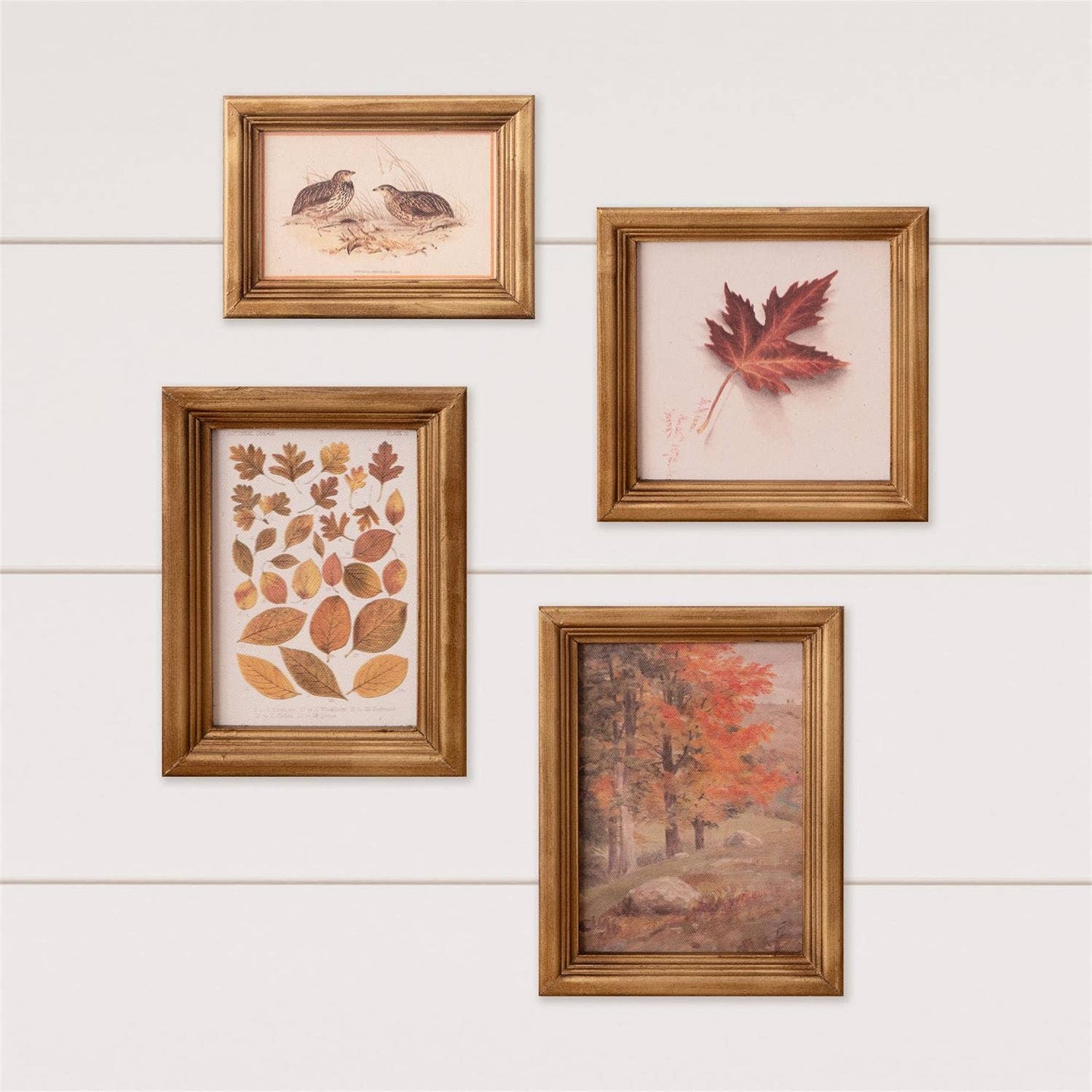 Gallery Wall  Whispers Of Autumn