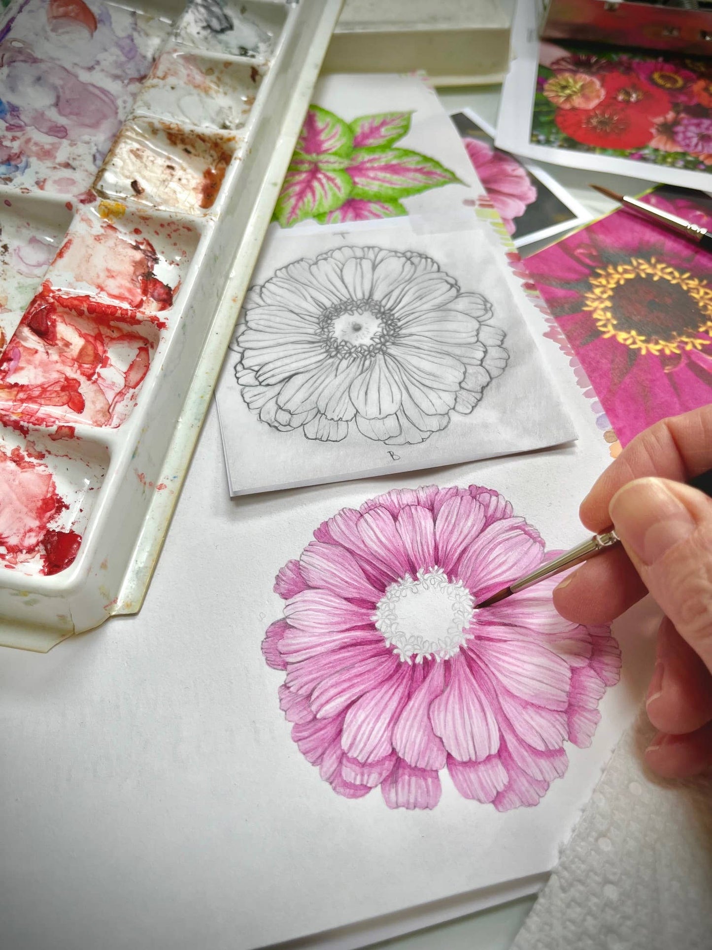 Flower Cutting Garden Box | Mixed Zinnia