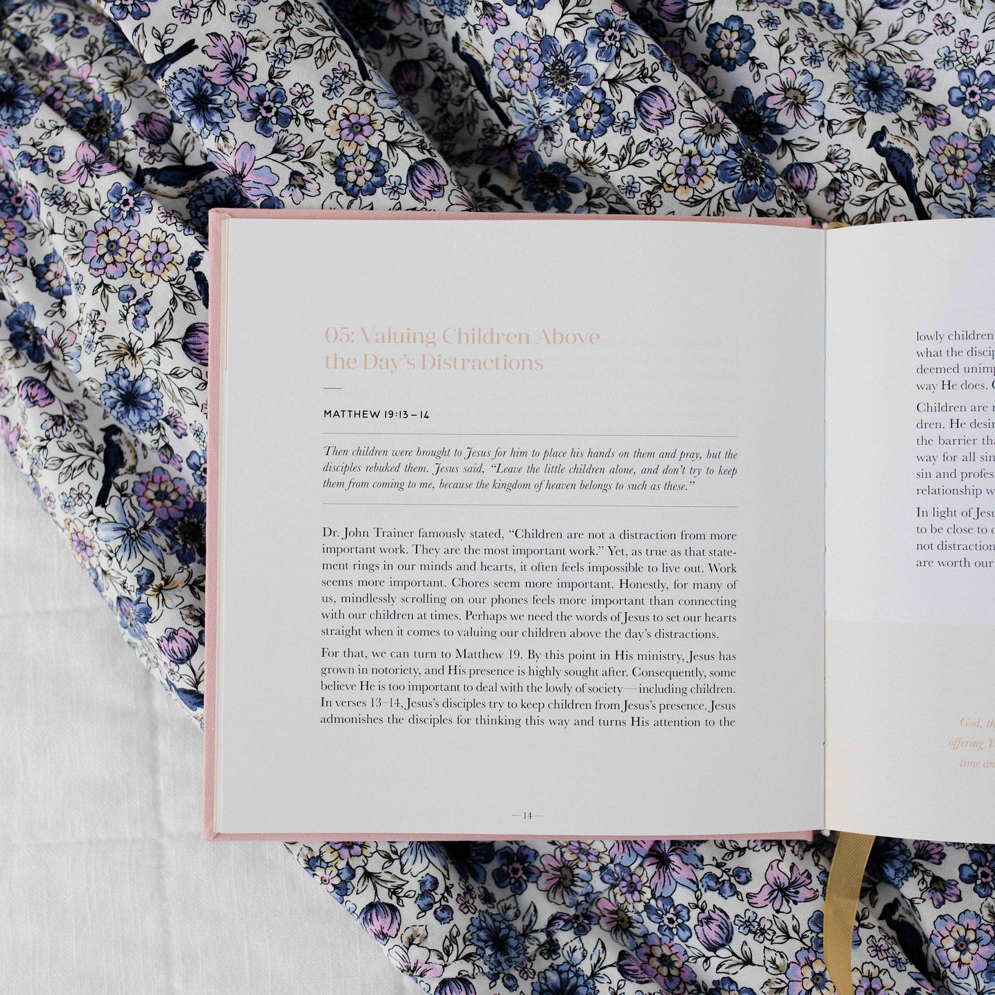 Steadfast Motherhood Devotional | Coffee Table Book