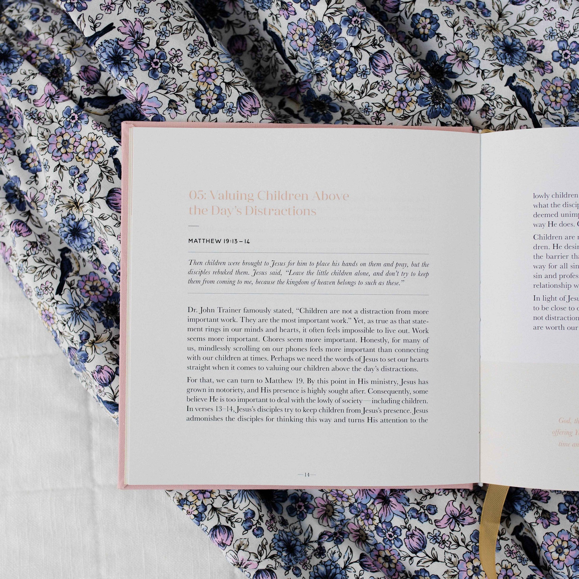 Steadfast Motherhood Devotional | Coffee Table Book