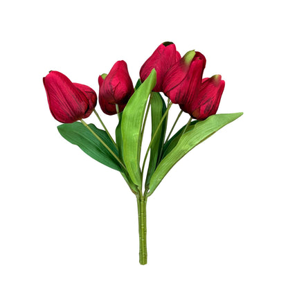 Mixed Color Large Tulip Bushes