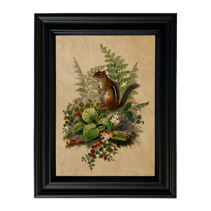 Woodland Chipmunk Cottagecore Framed Reproduction Print